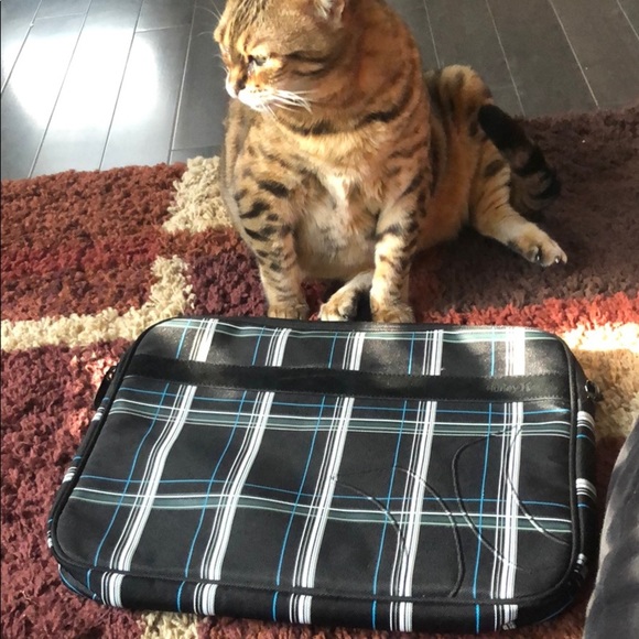 Holds 13 inch Hurley brand - Picture 1 of 5